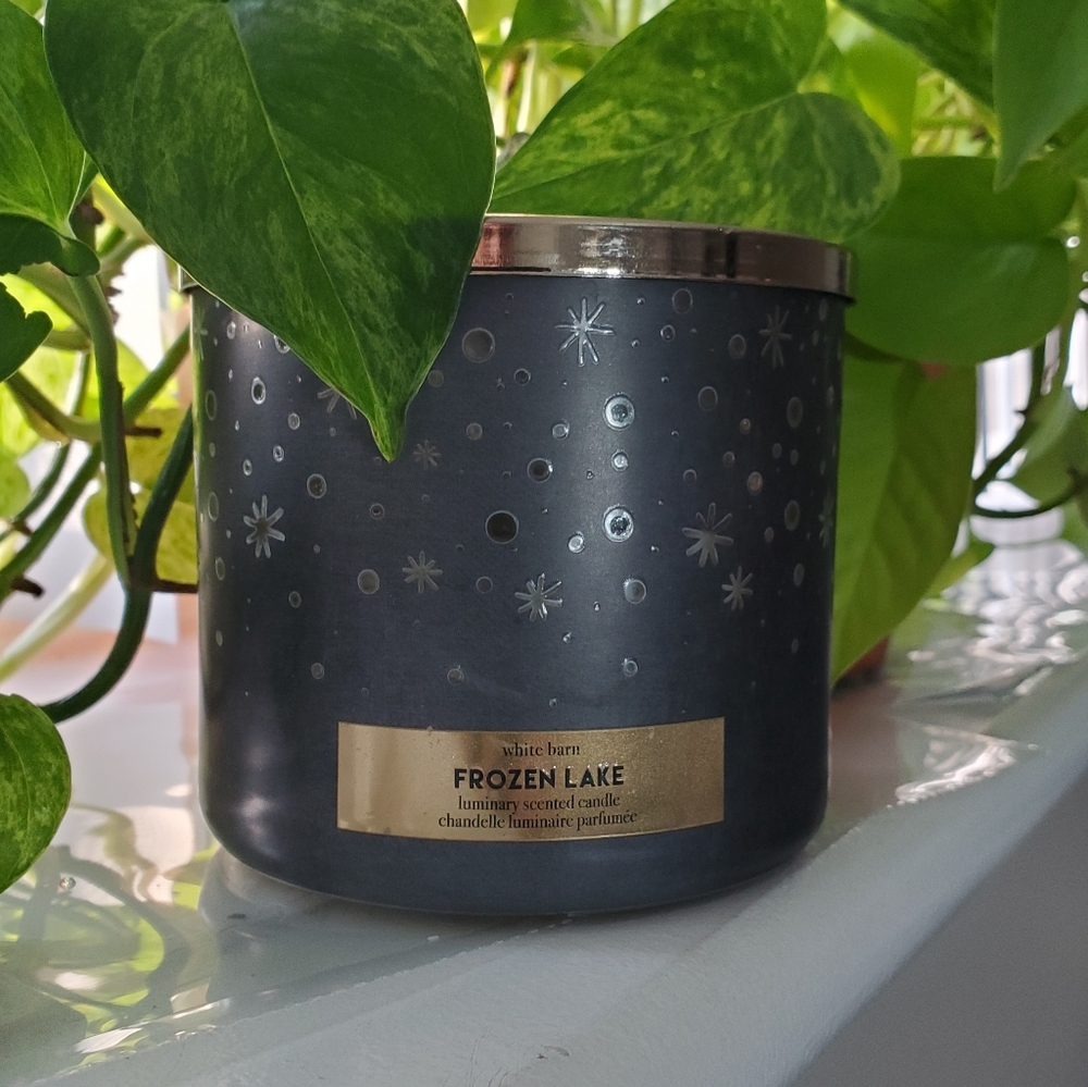 Limited Edition Discontinued White Barn Frozen Lake Candle